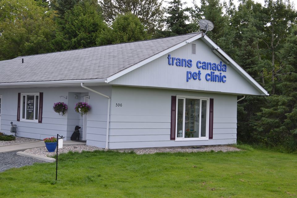 Trans Canada Pet Clinic Sunset Country, Ontario, Canada